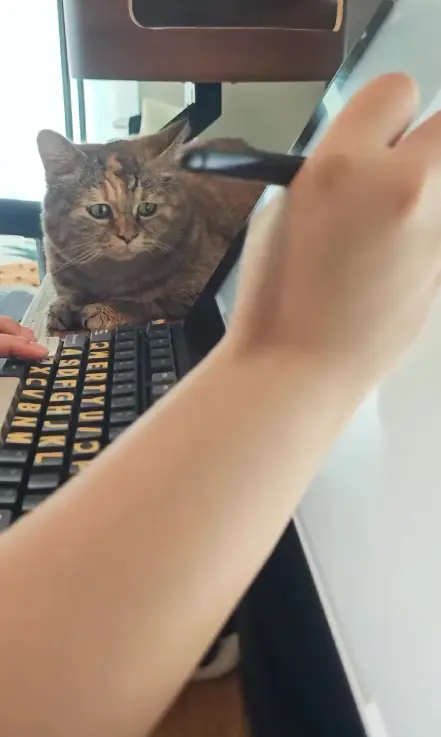 光噹 sitting behind a computer keyboard on a desk while a hand reaches past her toward a pen.